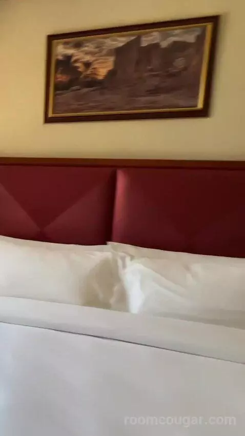 Superior King Room bed picture #9