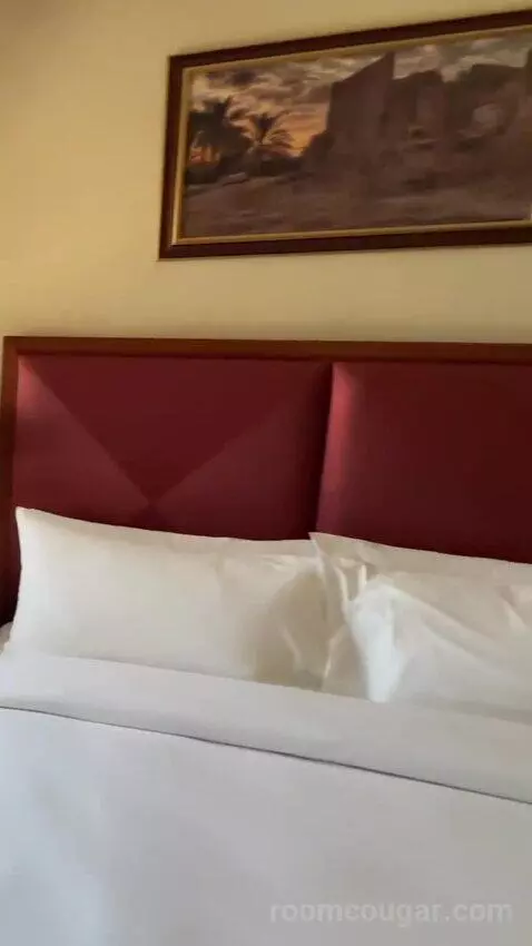 Superior King Room bed picture #10