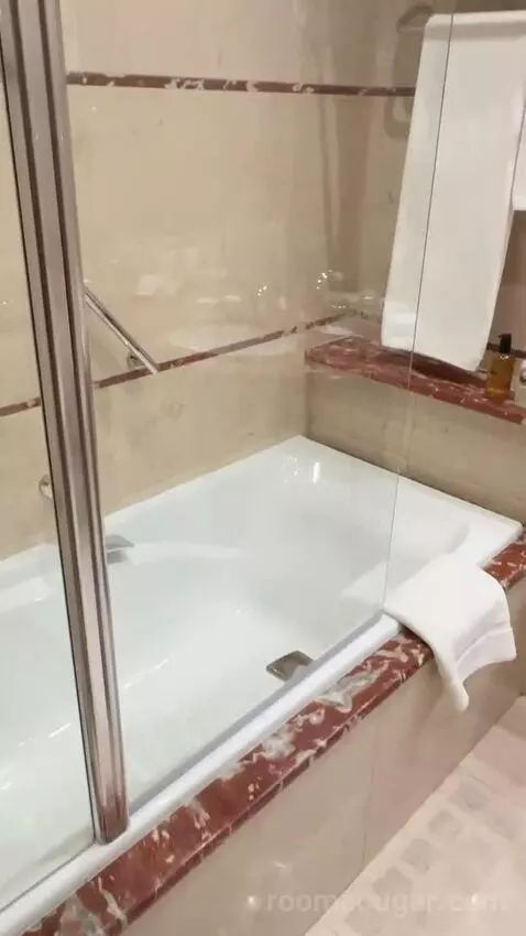 Superior King Room bathroom picture #4
