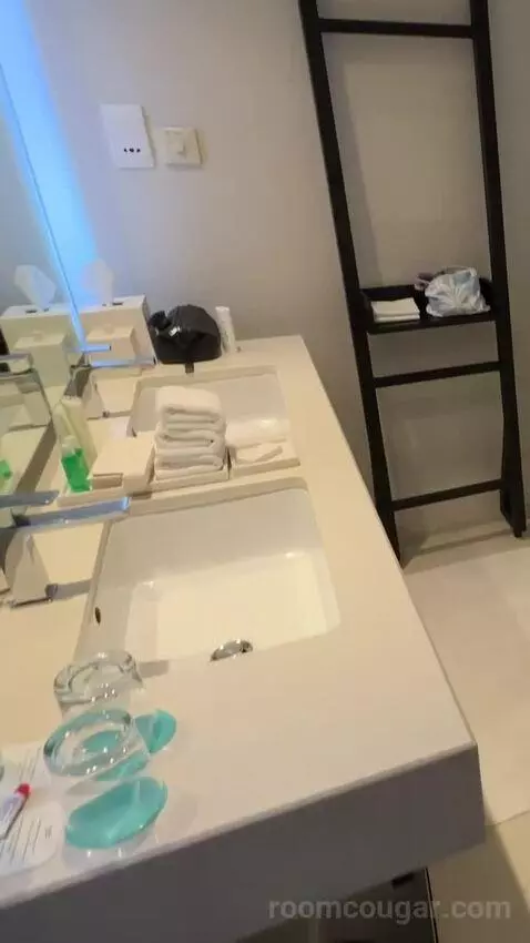 Super Deluxe Suite, Suite, 1 King, Airport Transfers (Very spaciou) bathroom picture #3