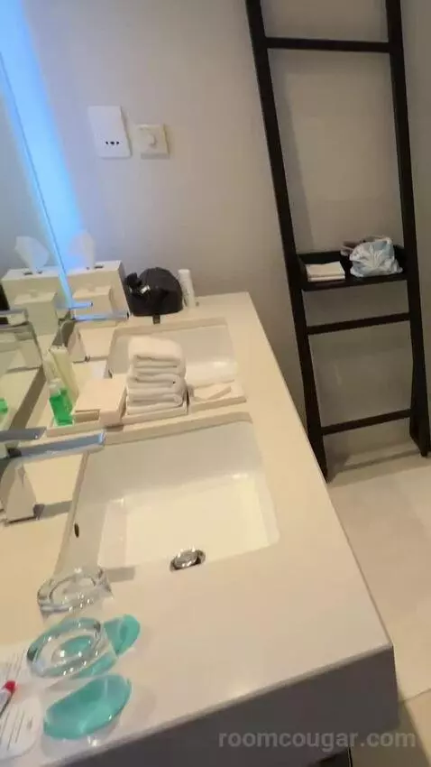 Super Deluxe Suite, Suite, 1 King, Airport Transfers (Very spaciou) bathroom picture #4