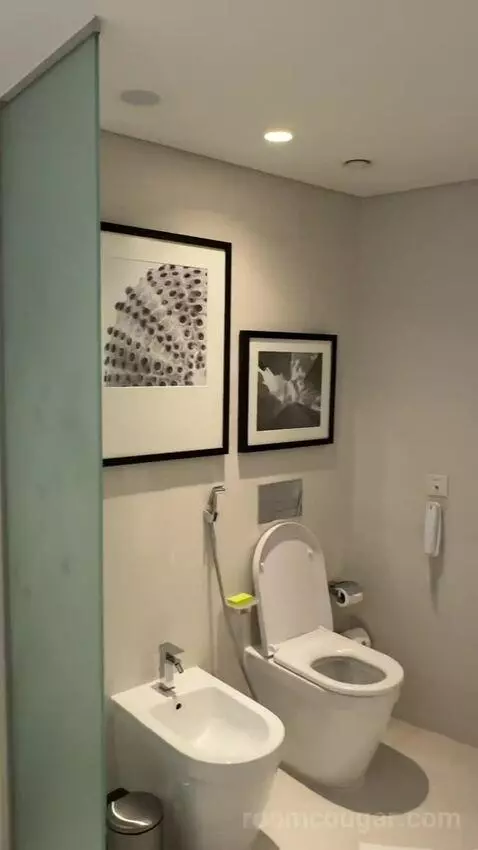 Super Deluxe Suite, Suite, 1 King, Airport Transfers (Very spaciou) bathroom picture #5