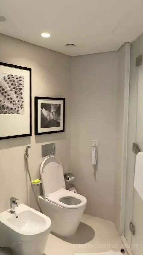 Super Deluxe Suite, Suite, 1 King, Airport Transfers (Very spaciou) bathroom picture #8