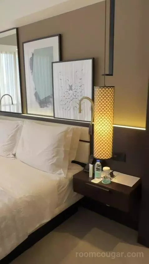 Super Deluxe Suite, Suite, 1 King, Airport Transfers (Very spaciou) bed picture #11