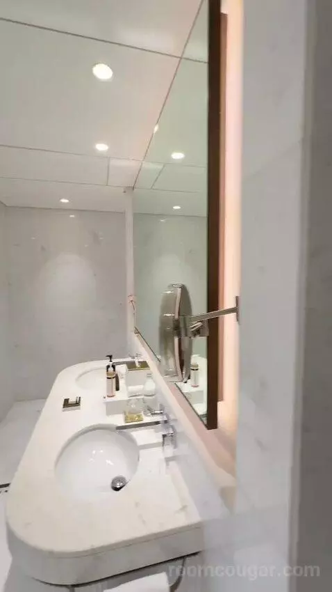 Metropolitan Suite with 1 King, Sea View (#617) bathroom picture #6