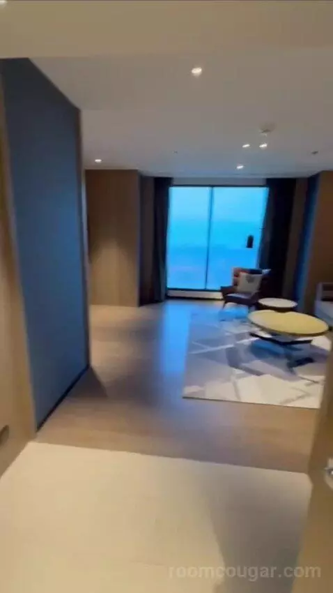 Premium Suite (#1722) view picture #2