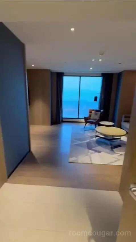 Premium Suite (#1722) view picture #3