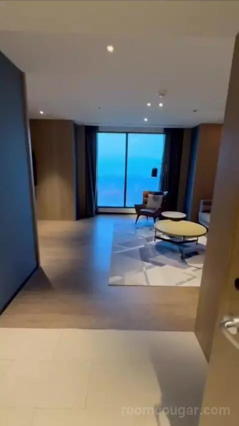 Premium Suite (#1722) view picture #4