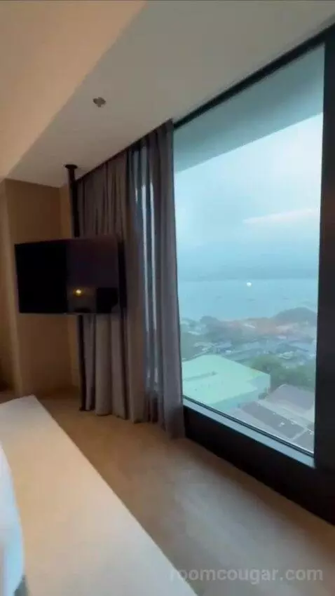 Premium Suite (#1722) view picture #5