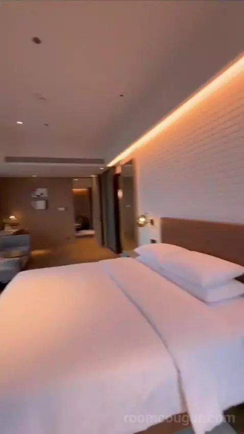 Premium Suite (#1722) view picture #9