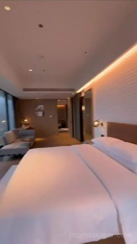 Premium Suite (#1722) view picture #10