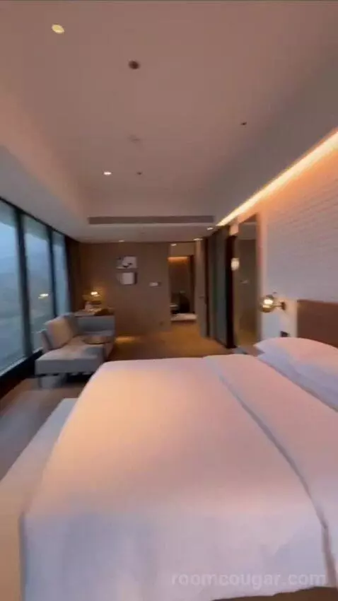 Premium Suite (#1722) view picture #11
