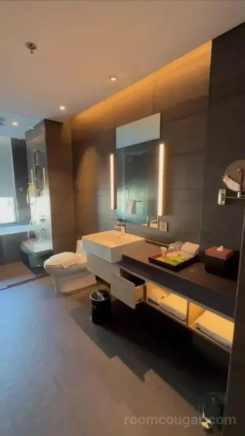 Premium Corner King Room with Sofa Bed (#606) bathroom picture #12