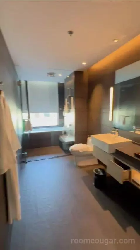 Premium Corner King Room with Sofa Bed (#606) bathroom picture #4