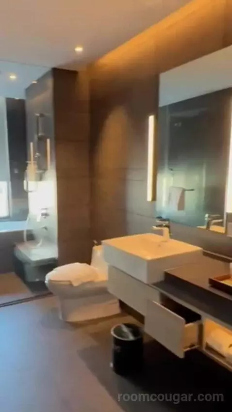 Premium Corner King Room with Sofa Bed (#606) bathroom picture #8