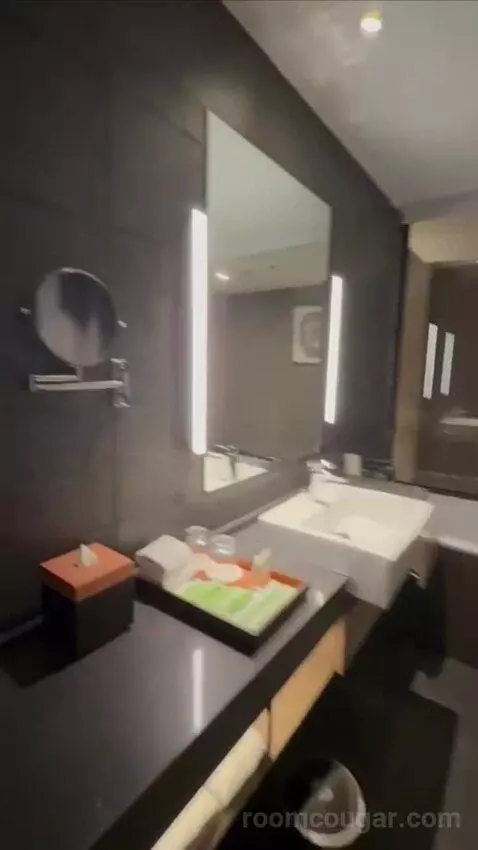 Courtyard Suite, Executive Lounge Access, Suite, City View (#1905) bathroom picture #4