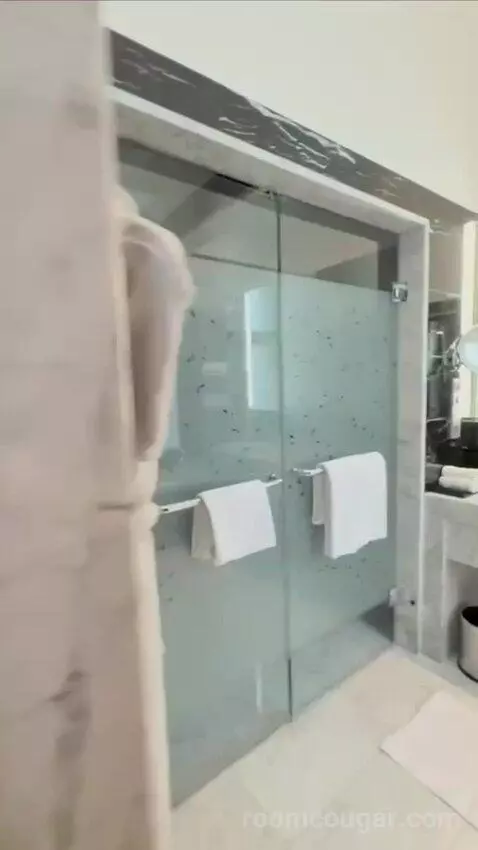 Premium Deluxe Suite bathroom picture #7