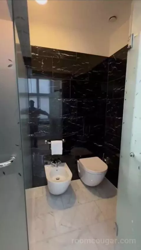 Premium Deluxe Suite bathroom picture #9
