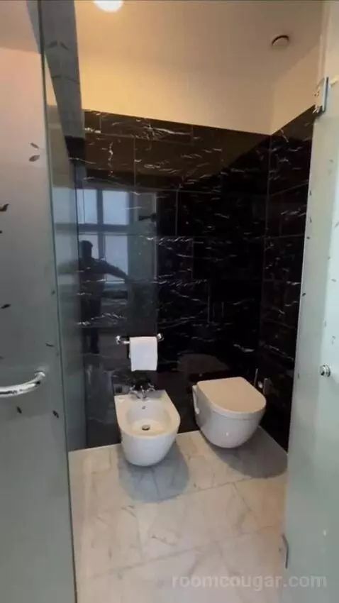 Premium Deluxe Suite bathroom picture #10