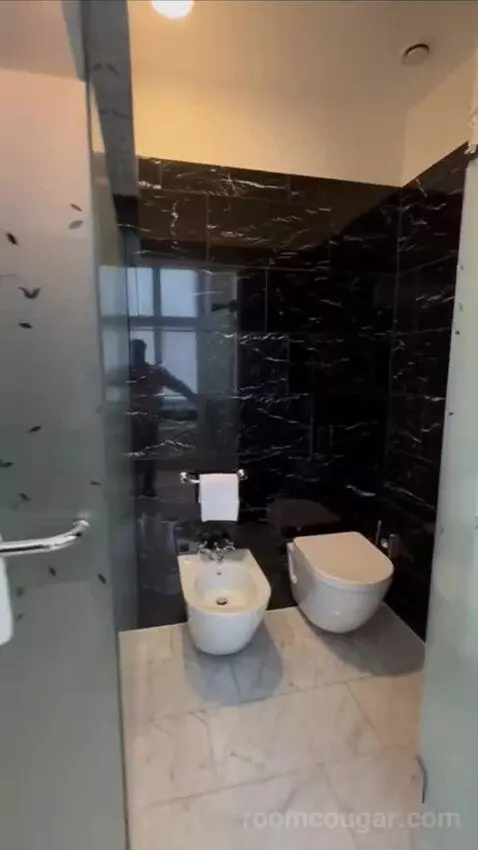 Premium Deluxe Suite bathroom picture #11