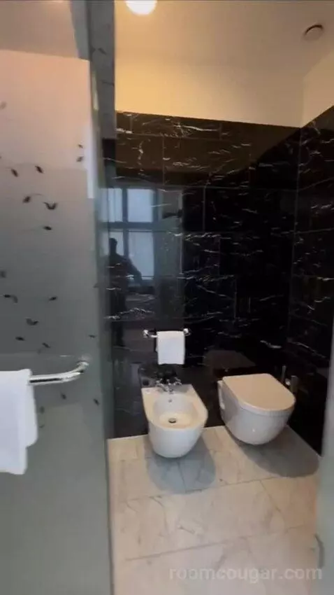 Premium Deluxe Suite bathroom picture #12