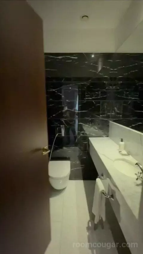 Premium Deluxe Suite bathroom picture #3