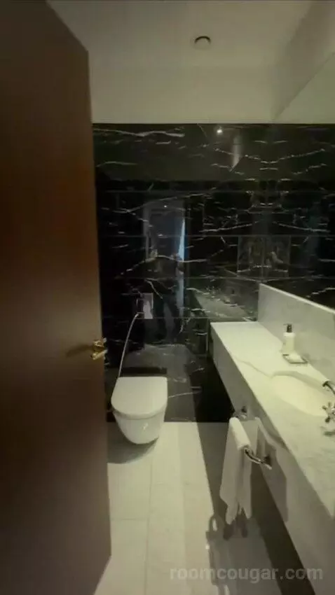 Premium Deluxe Suite bathroom picture #4