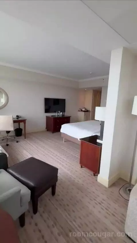 Corner, Junior Suite (#722) picture #23