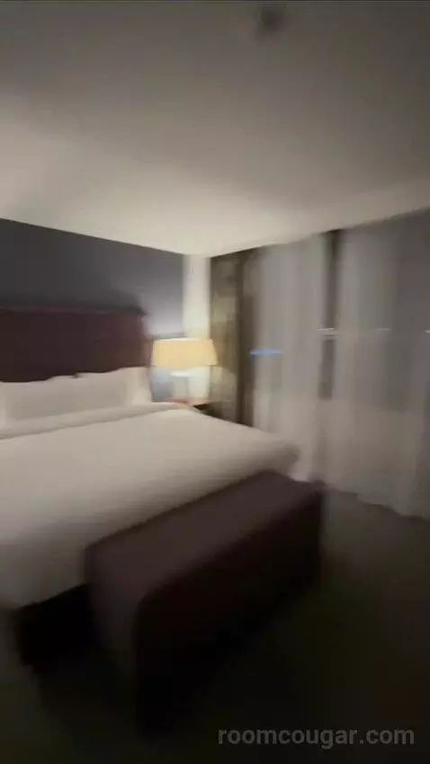 Executive Runway Suite bed picture #4
