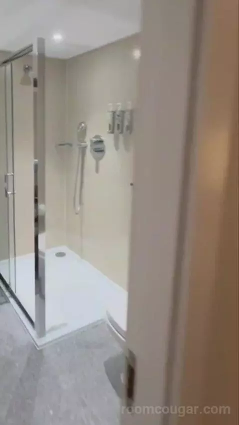 Executive Runway Suite bathroom picture #4