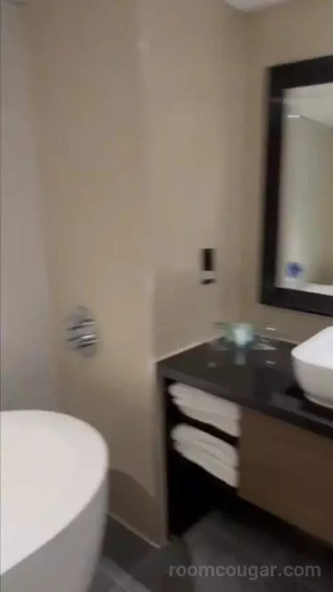 Executive Runway Suite bathroom picture #5