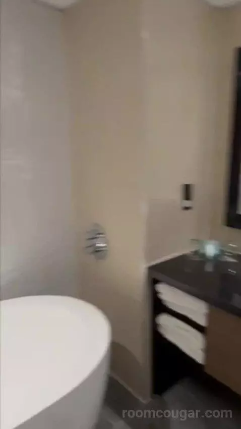 Executive Runway Suite bathroom picture #6