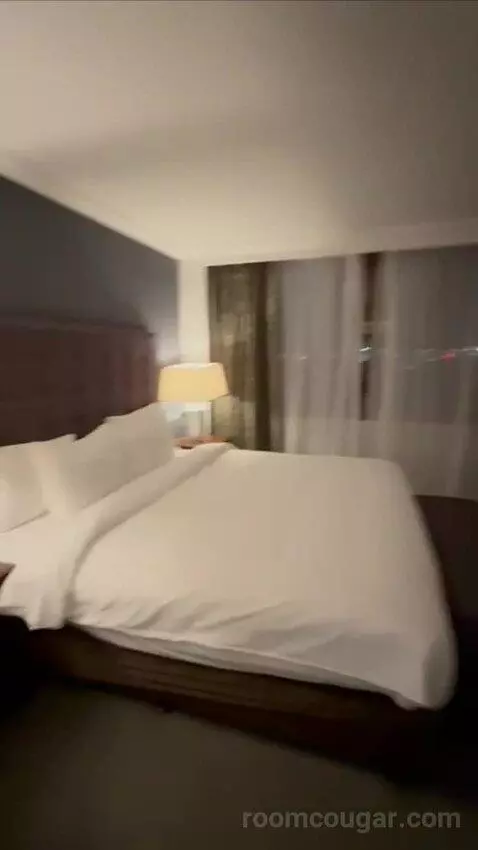 Executive Runway Suite bed picture #10