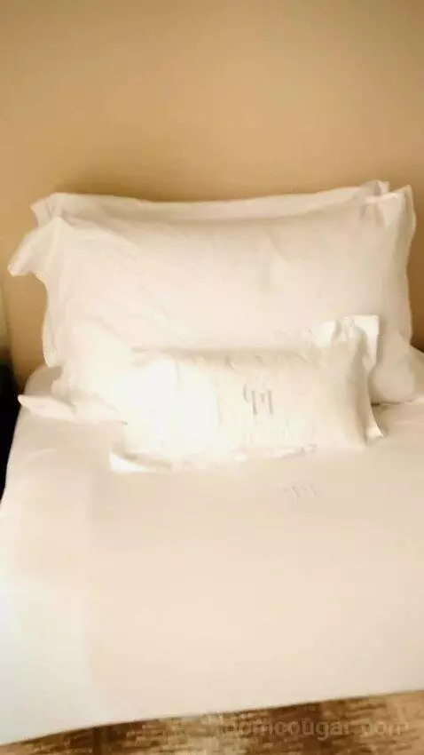 Superior Deluxe Twin Room bed picture #8