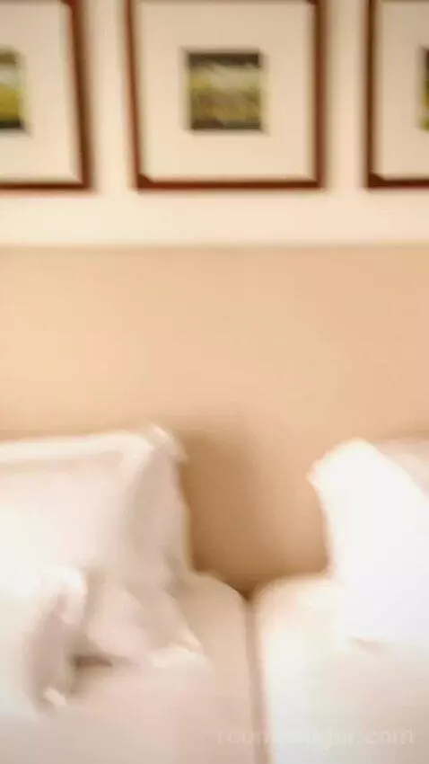 Superior Deluxe Twin Room bed picture #10