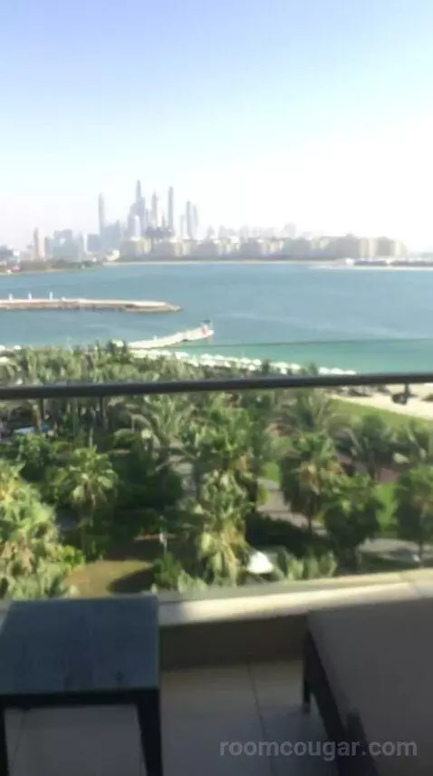 Junior Suite with Sea View view picture #1