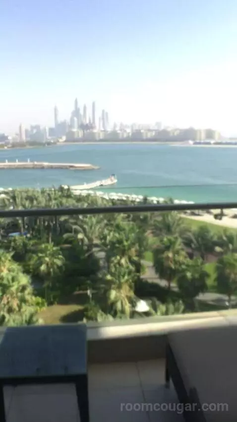 Junior Suite with Sea View picture #16