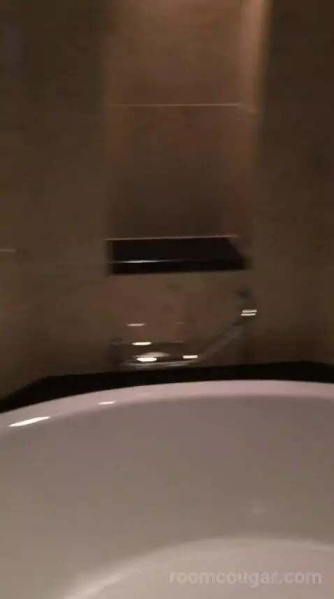Deluxe Double Room with Two Double Beds and Skyline View bathroom picture #3