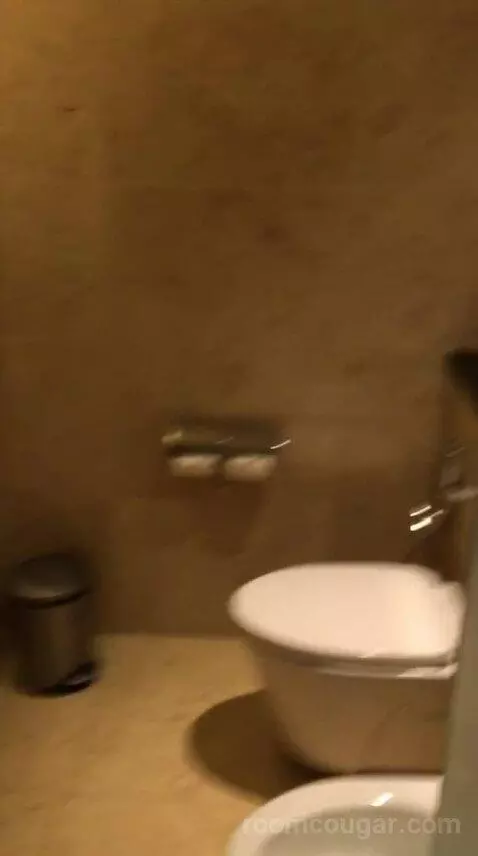 Deluxe Double Room with Two Double Beds and Skyline View bathroom picture #6