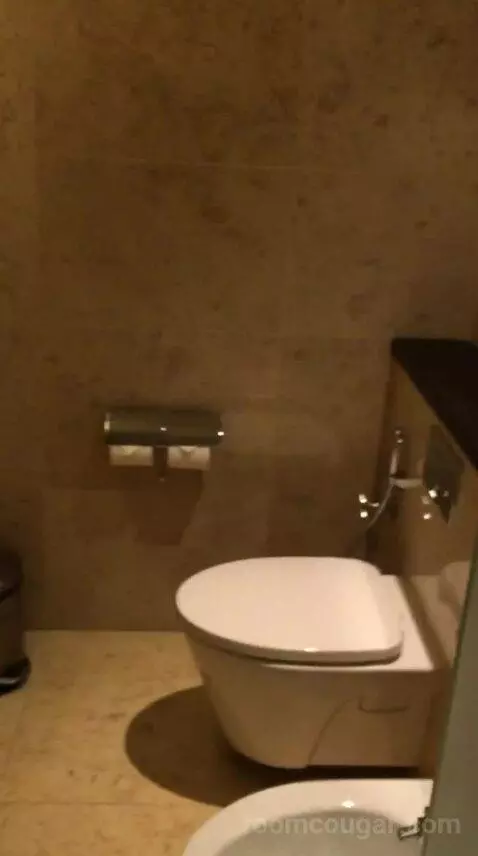 Deluxe Double Room with Two Double Beds and Skyline View bathroom picture #7
