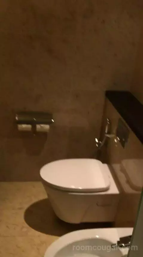 Deluxe Double Room with Two Double Beds and Skyline View bathroom picture #8