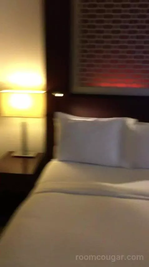 Deluxe Double Room with Two Double Beds and Skyline View bed picture #12