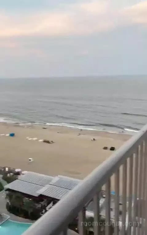 King Suite - Oceanfront view picture #6