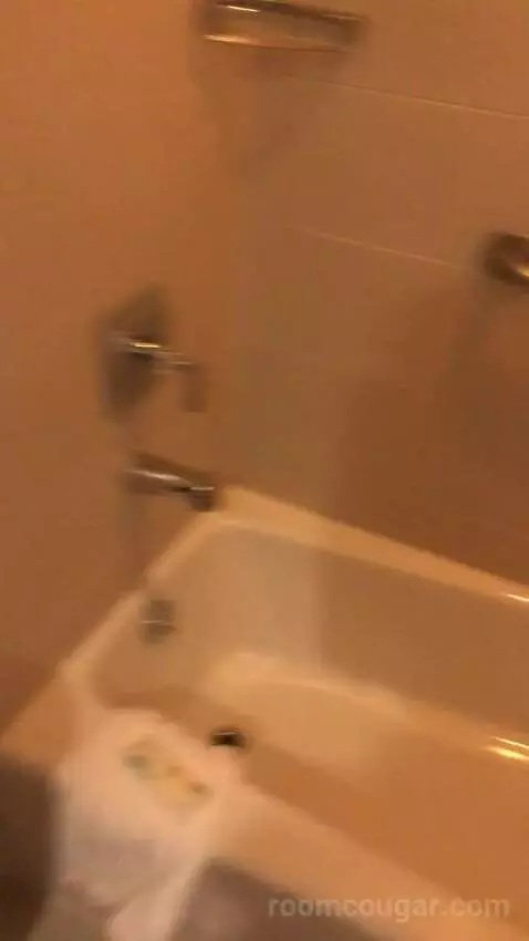 Premium Queen Room with Two Queen Beds and Lake View bathroom picture #9