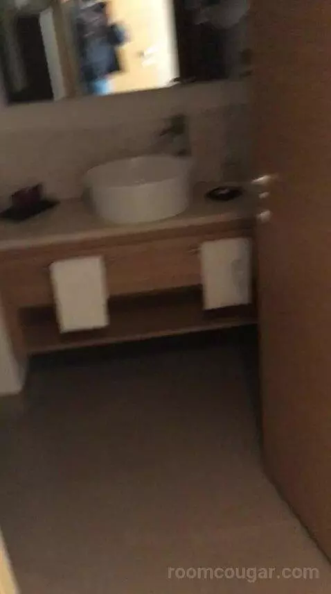 Double or Twin Room bathroom picture #1