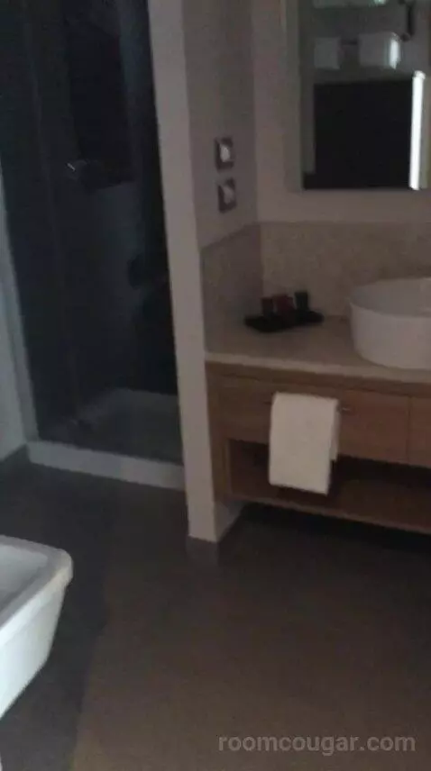 Double or Twin Room bathroom picture #7
