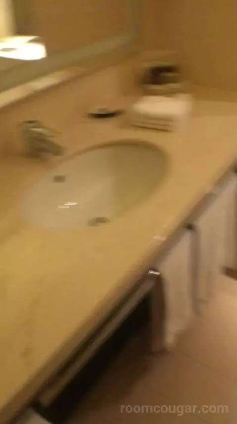 Classic Twin, Guest Room, 2 Twin/Single Bed(s), City View bathroom picture #5
