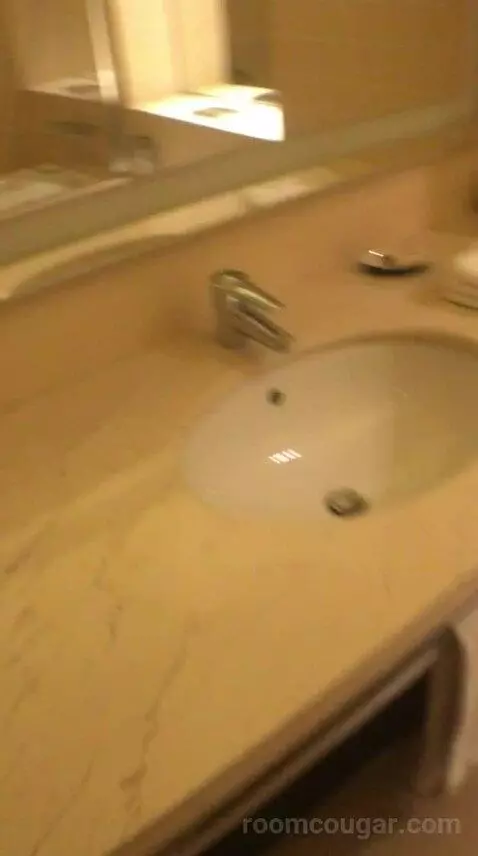 Classic Twin, Guest Room, 2 Twin/Single Bed(s), City View bathroom picture #6