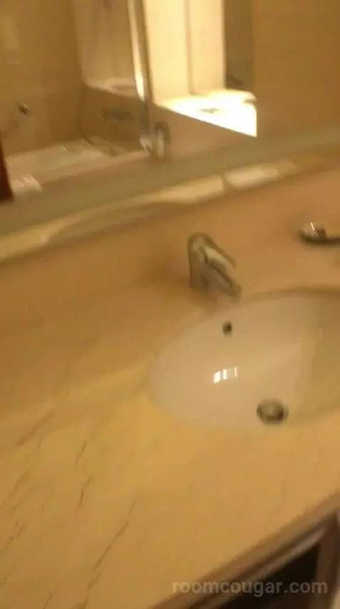 Classic Twin, Guest Room, 2 Twin/Single Bed(s), City View bathroom picture #7