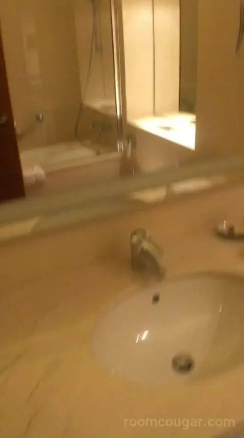 Classic Twin, Guest Room, 2 Twin/Single Bed(s), City View bathroom picture #8